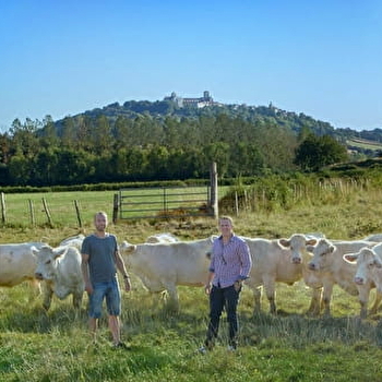 La Vache Pechery - BROSSES