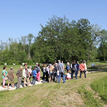Randonnée sur le Sentier Nature avec un guide - TOUCY