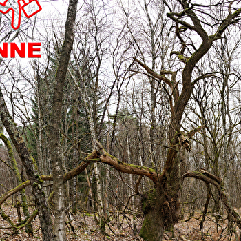 Découvre un village de l’Yonne en t’amusant - POURRAIN
