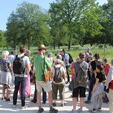 Exploration fluorescente autour de la Pyramide du Loup