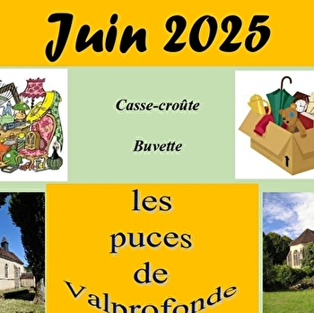 Les puces de Valprofonde - VILLENEUVE-SUR-YONNE