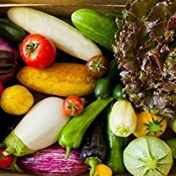 EARL Le Jardin des Gallines - TANNERRE-EN-PUISAYE