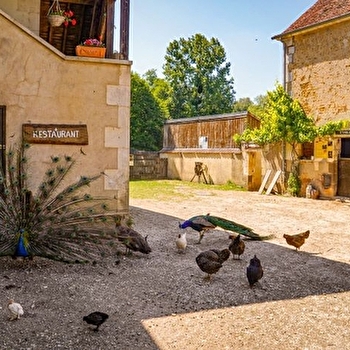 Journée A la découverte de la faune du bâti - SAINTS-EN-PUISAYE