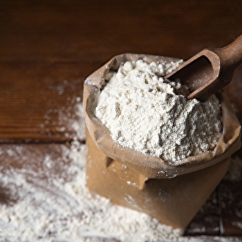 EARL Faucheux - LUCY-SUR-YONNE