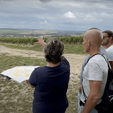 Vititours - Excursions dans le vignoble