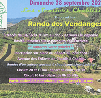 Rando des vendanges - CHABLIS