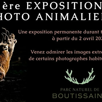 Exposition permanente de photographies animalières  - TREIGNY-PERREUSE-SAINTE-COLOMBE