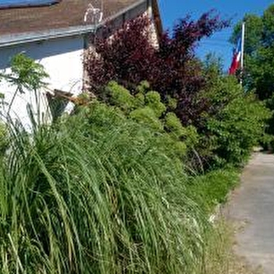 Camping Municipal d'Epizy