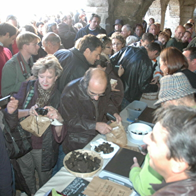 Confrérie de la Truffe de Bourgogne de Noyers