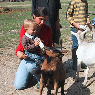 Une visite en famille dans une ferme authentique et pleine de charme !