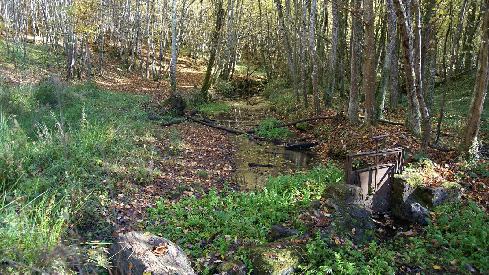 Circuit de Dixmont n°2 : 'Le Sucré - La Grande Hâte - Le Ru du Crot Guenin