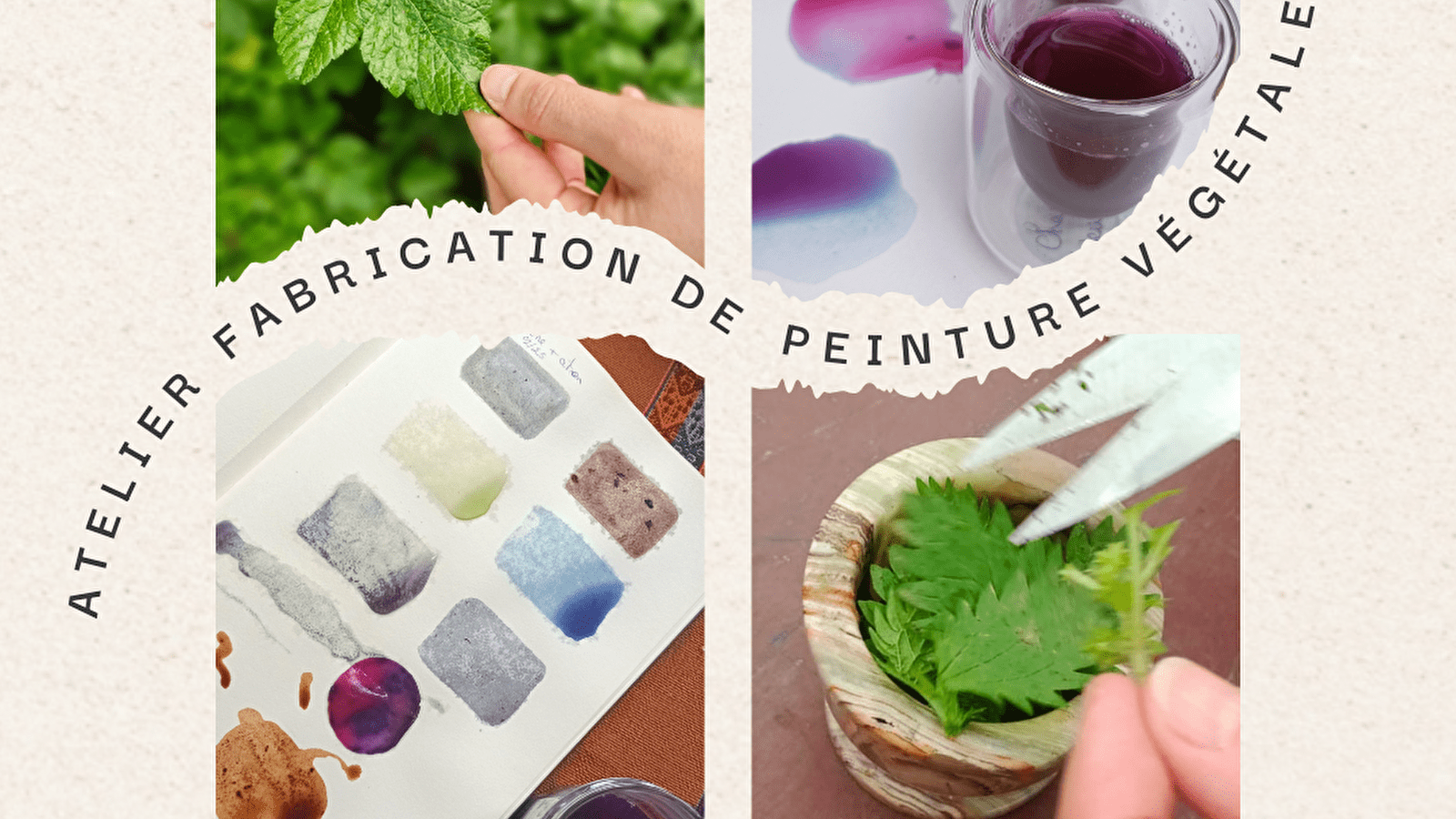 Atelier de peinture végétale