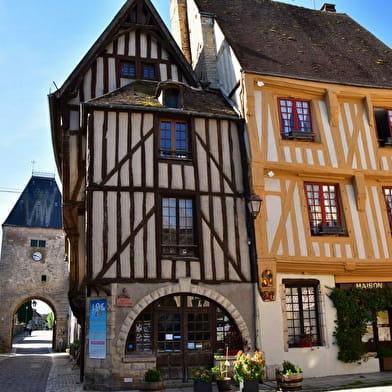 Balade Commentée de Noyers 