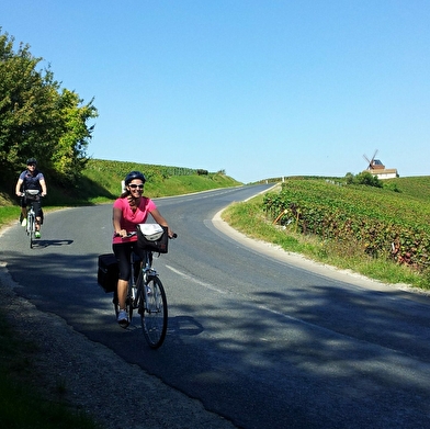 Bourgogne Nord et Chablis Deluxe / 4 jours