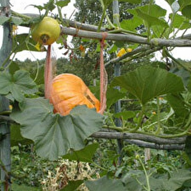 Le Jardin du Prieuré