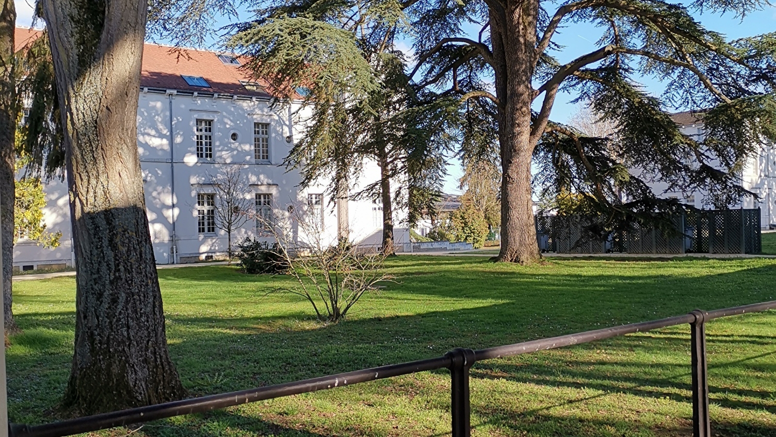 La visite insensée