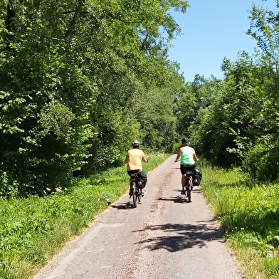 Escapade Journée - Les lavoirs de l'Aillantais