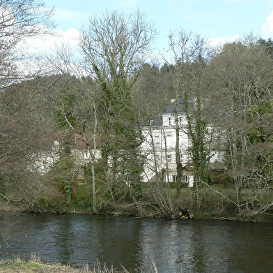 Ambroisie