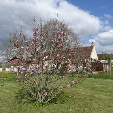 Hébergement à Avigny