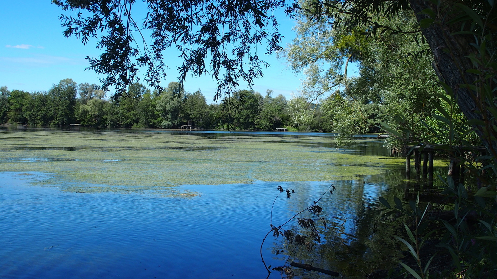 Retrouve les 29 balises dissimulées dans le cadre naturel des étangs de Villeneuve