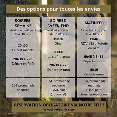 Le brame du cerf