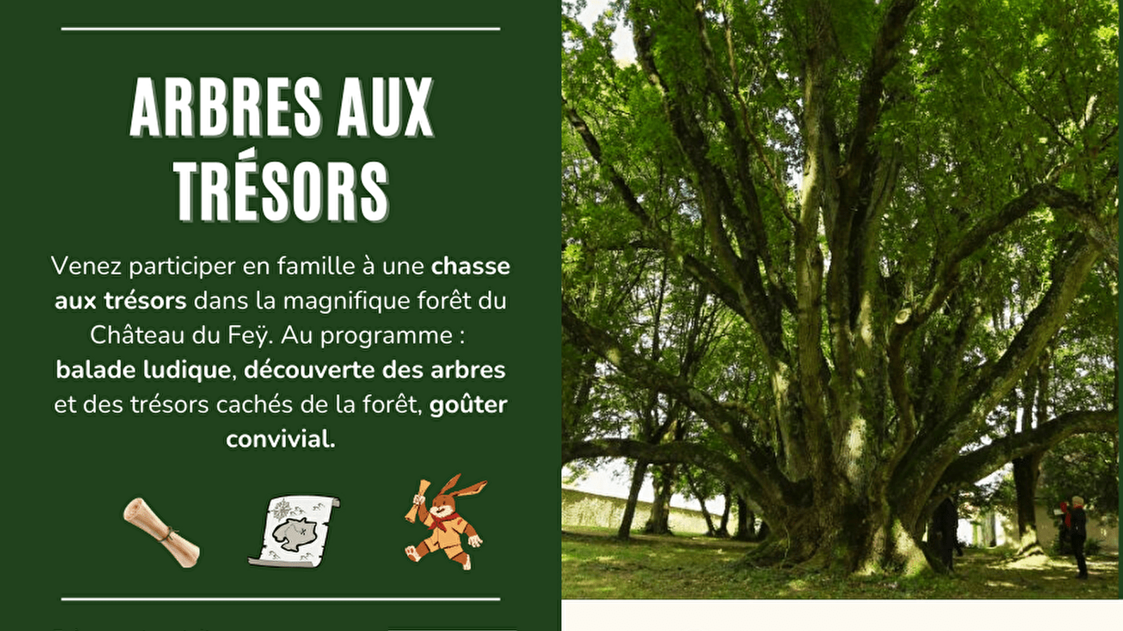 Arbres aux trésors