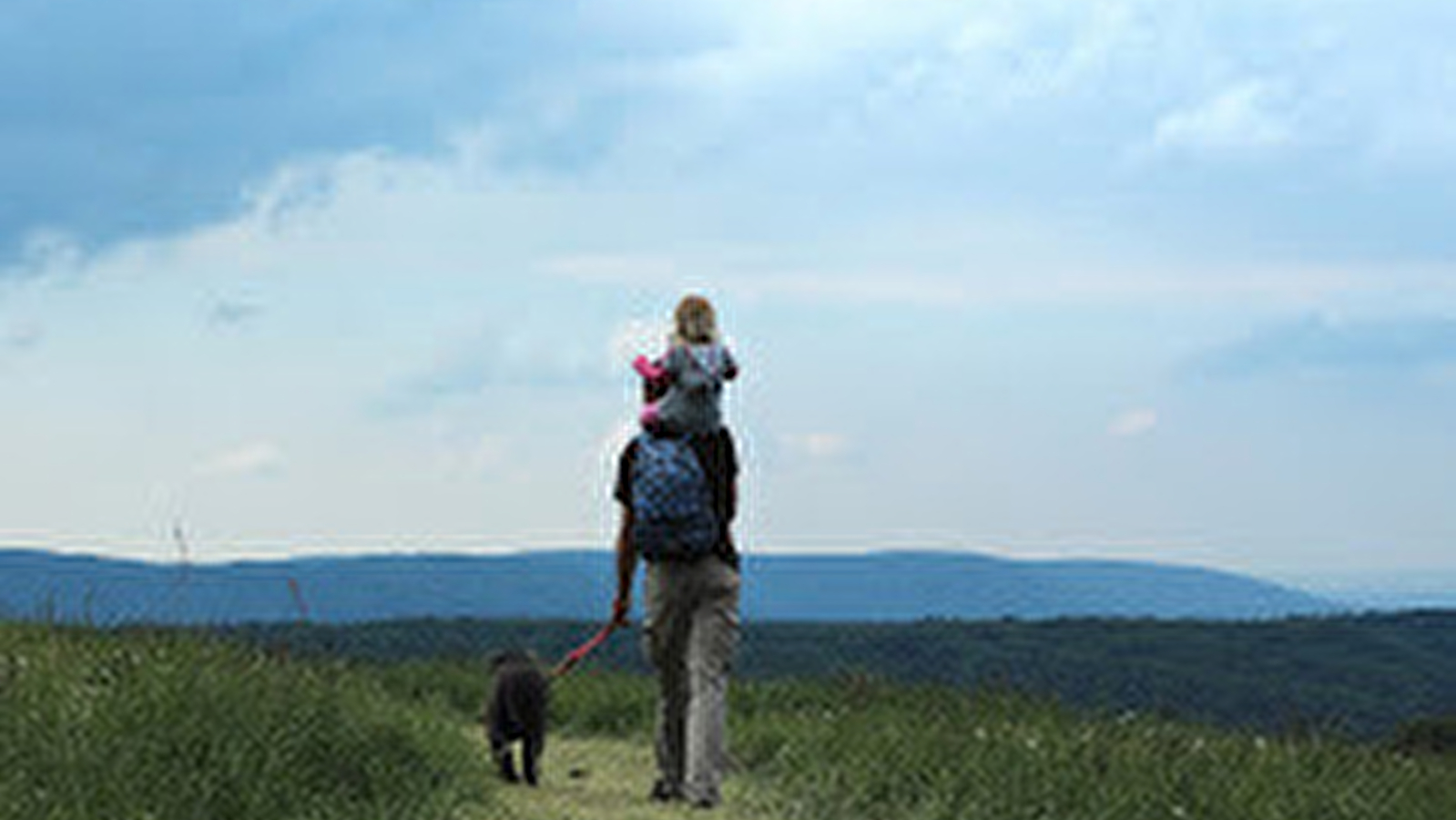 Les Vosges du Sud en rando