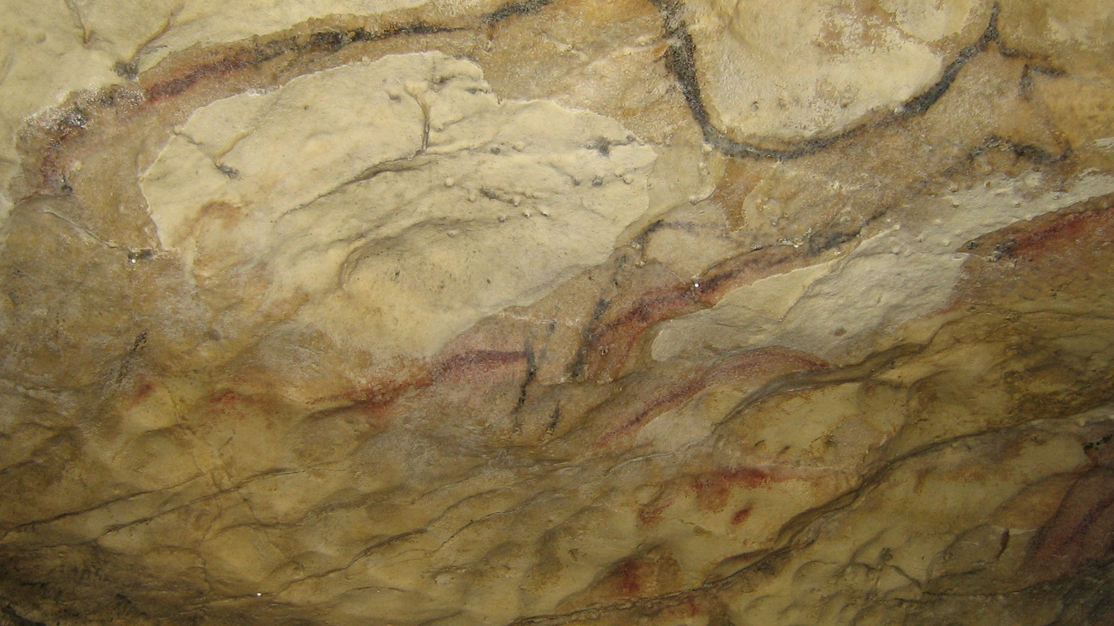 Un monde souterrain fascinant et mystérieux à explorer en famille.