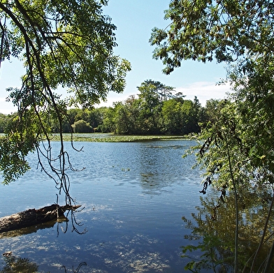 Parc de la Ballastière-Sennepy