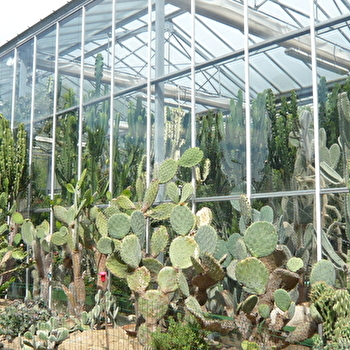 Dans une ambiance tropicale, pars à la découverte de plantes originales venues de pays lointains. - SENS