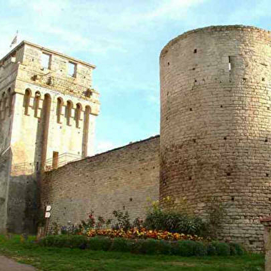 Découvre un château fort du Moyen Âge avec tes parents