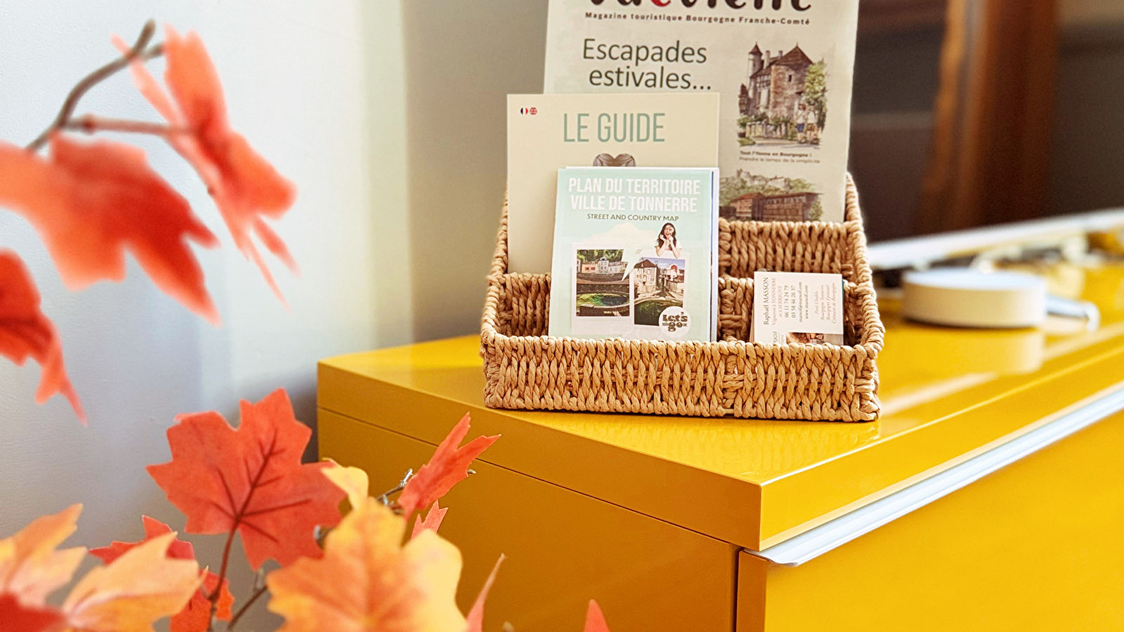 Logis de la Fosse Dionne • Tonnerre