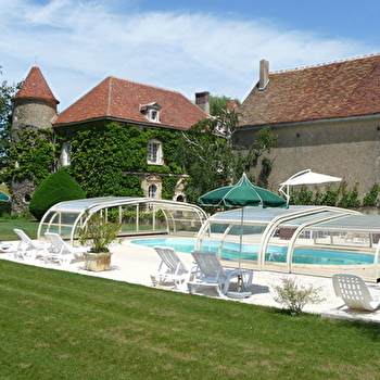 Château de Ribourdin - CHEVANNES
