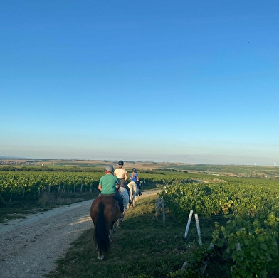 A Cheval dans l'Yonne