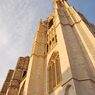 Cathédrale Saint-Etienne 