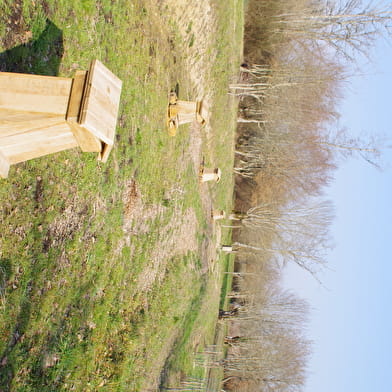 Sur le sentier de la biodiversité...