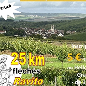 Randonnée pédestre à travers le vignoble d'Irancy - IRANCY