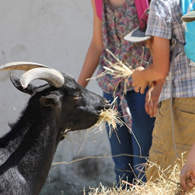 Une ferme pédagogique où tu pourras voir, toucher et nourrir les animaux.