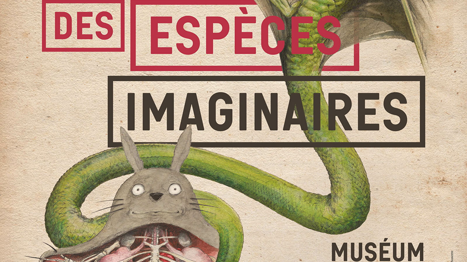 Anatomie comparée des espèces imaginaires