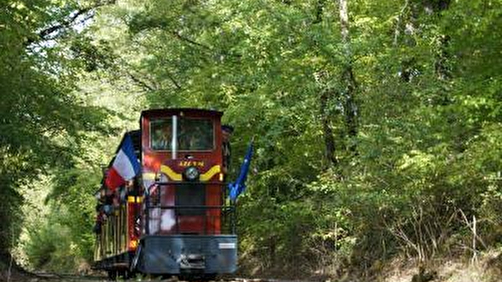 Un train spécial en toute saison !