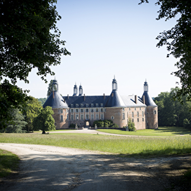 Château de Saint-Fargeau