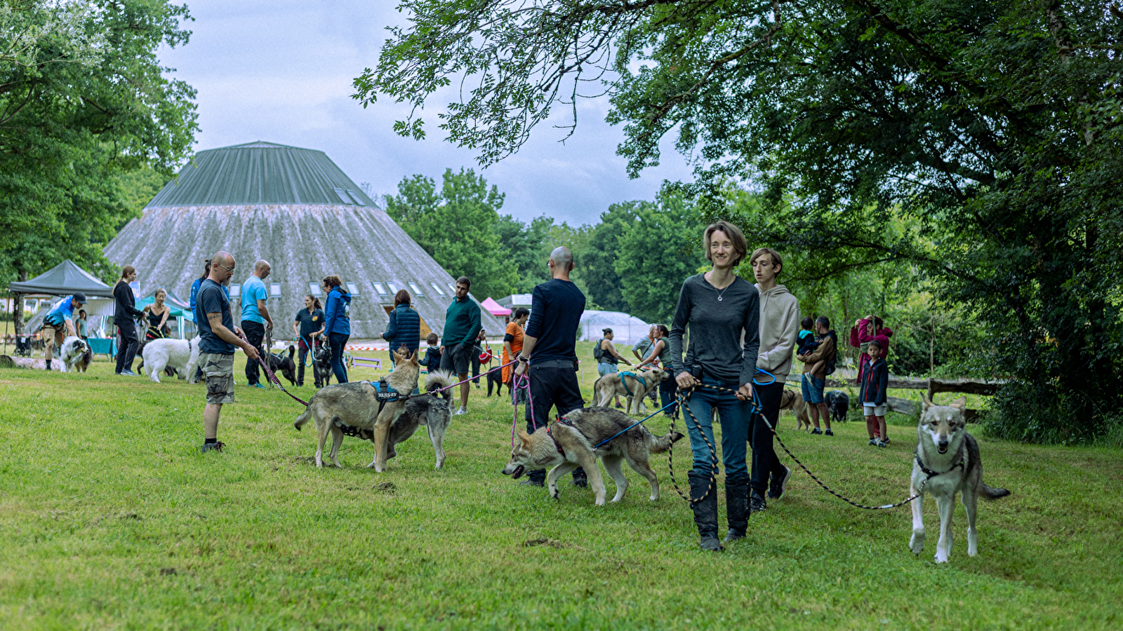 Journées des chiens-loups