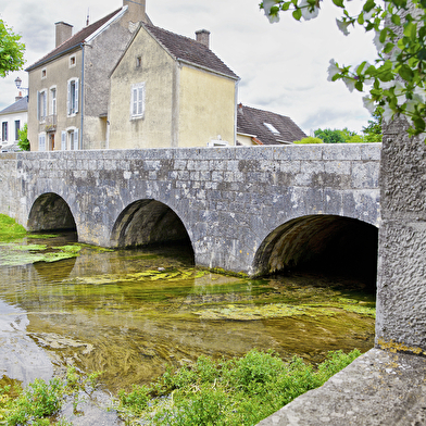 Office de Tourisme du Grand Vézelay - BIT Noyers