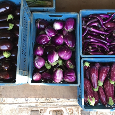 Les Légumes de Vincent