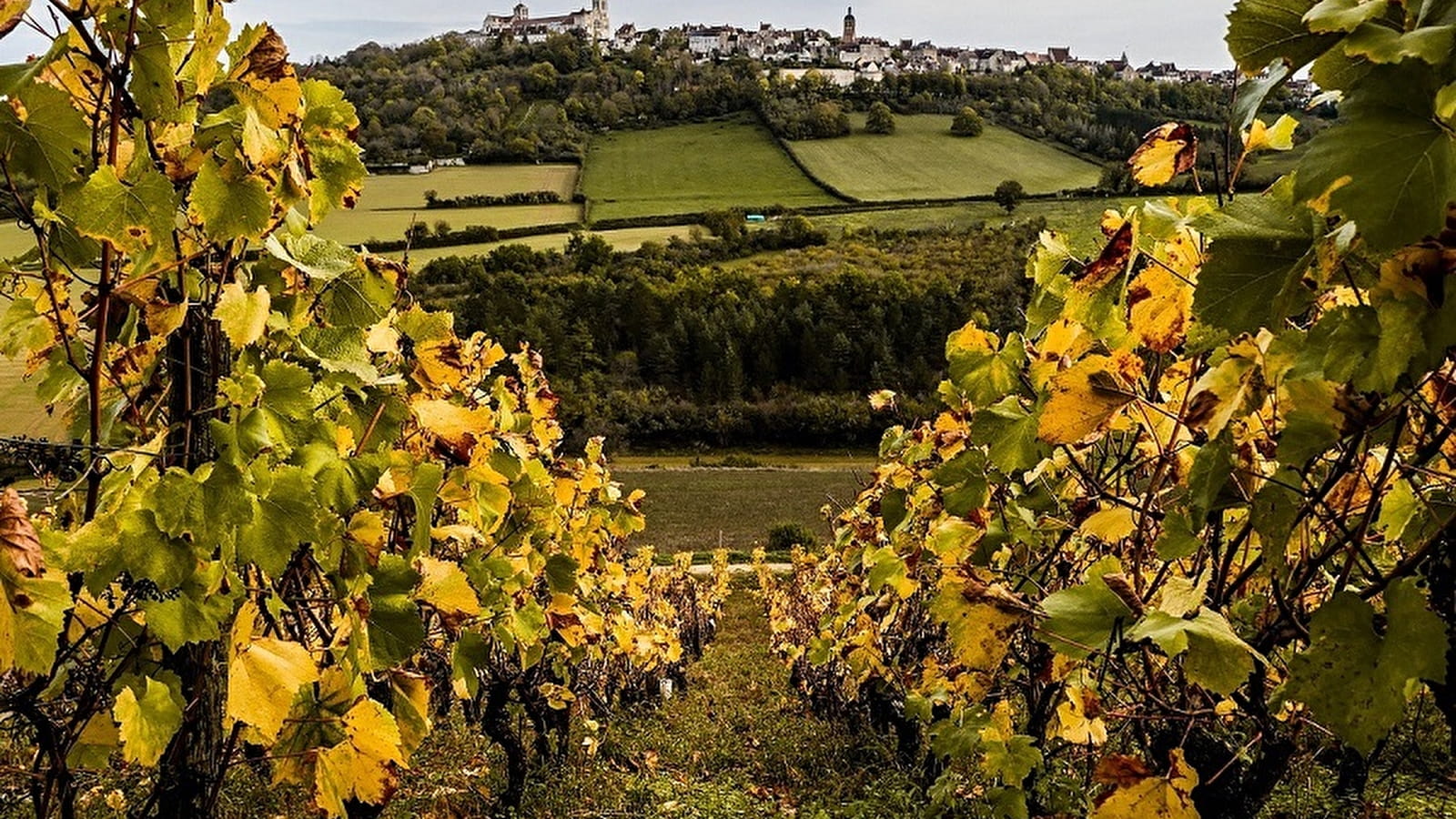 Vézelay l'incontournable