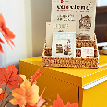 Logis de la Fosse Dionne • Tonnerre - TONNERRE