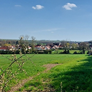 Découvre un village de l’Yonne en t’amusant - VILLEFARGEAU