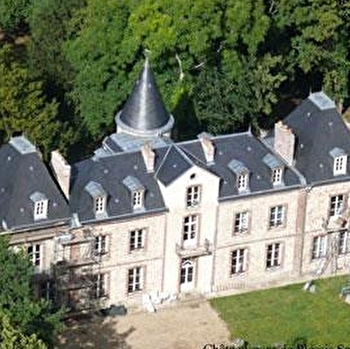 Château-Parc de Plessis Saint-Jean - PLESSIS-SAINT-JEAN