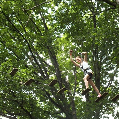 Viens vivre une aventure authentique au cœur d’une forêt de chênes centenaires.