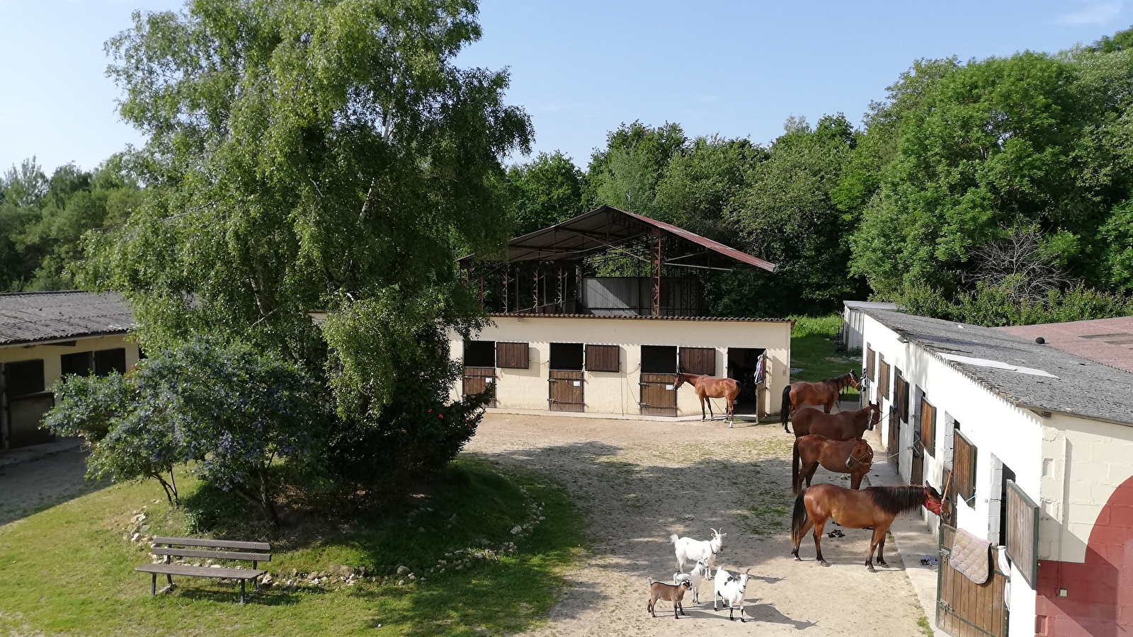 Ferme équestre l'Echappée Belle